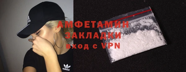 молекула духа Ладушкин