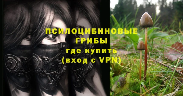 молекула духа Ладушкин