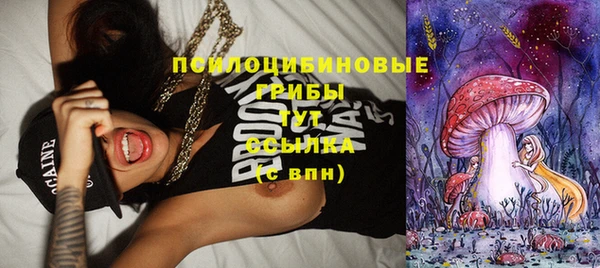 кокс Липки