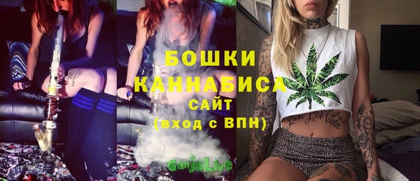 молекула духа Ладушкин