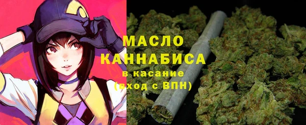 молекула духа Ладушкин