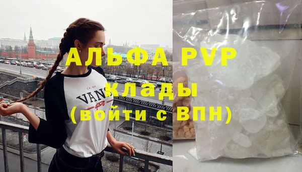 молекула духа Ладушкин