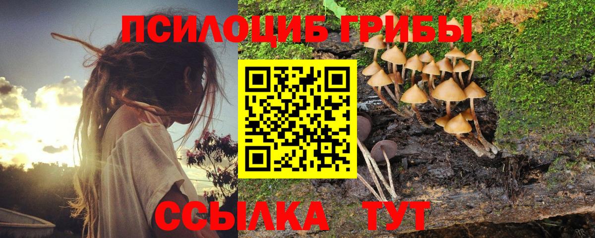 Галлюциногенные грибы Psilocybine cubensis  Вход с VPN  Углич 