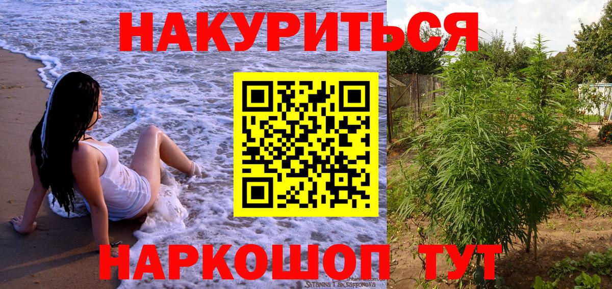 Конопля AK-47  МАРИХУАНА White Widow  Каннабис гибрид  Вход с VPN  Углич  Конопля MAZAR 
